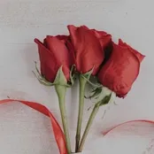 Rose Day image